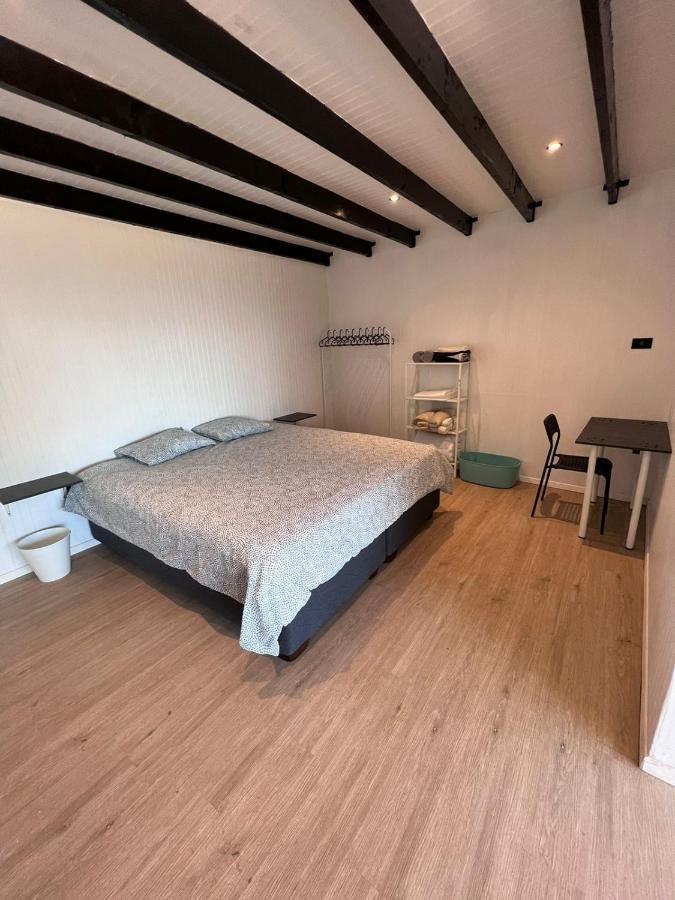 Hermosa Maitencillo Apartment