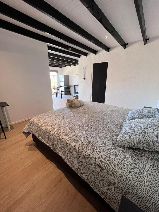 Hermosa Maitencillo Apartment